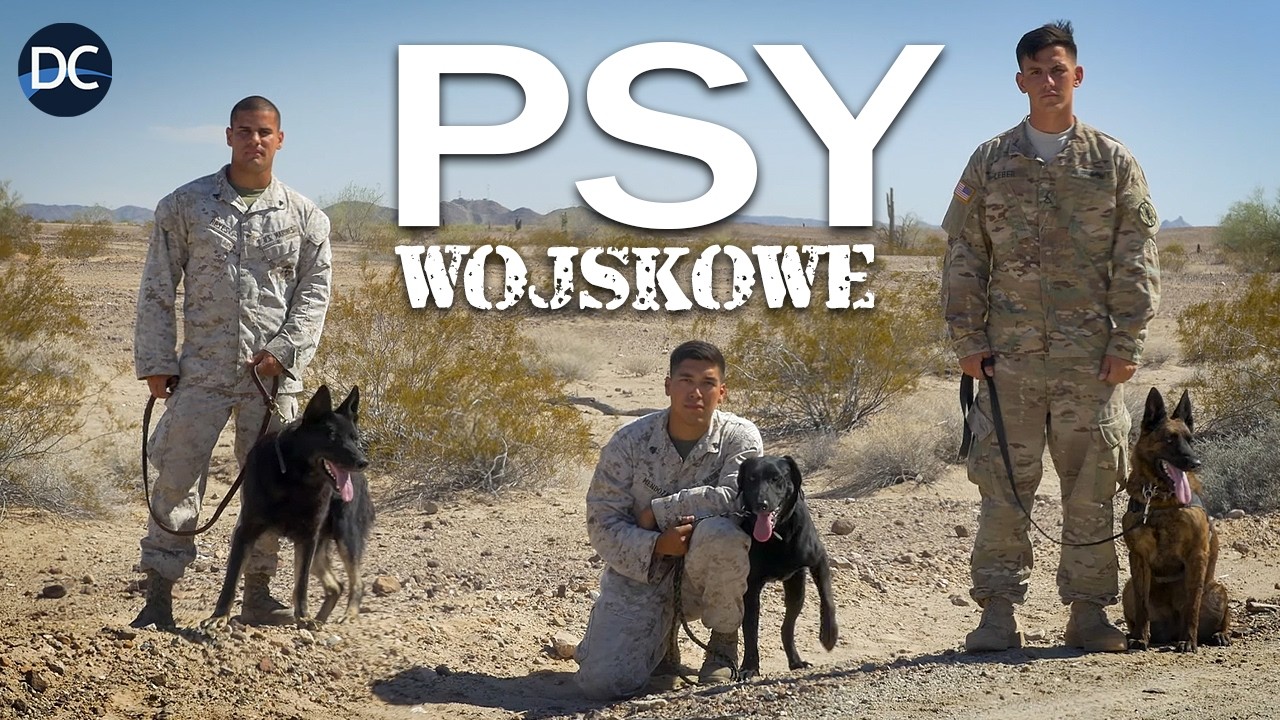 Psy Wojskowe: Odwaga Psów Pracujących dla Armii | Dokument Lektor PL | Frontier Dogs