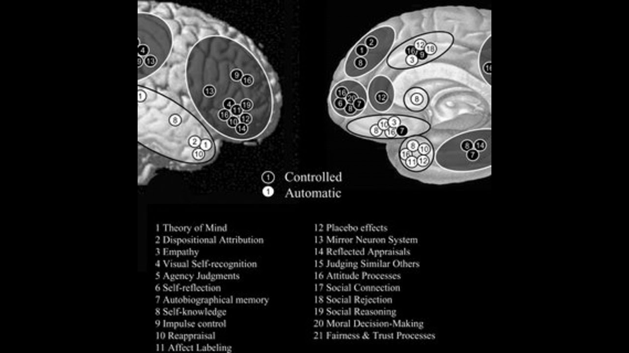 Social Cognitive Neuroscience: Core Processes | Matthew D. Lieberman