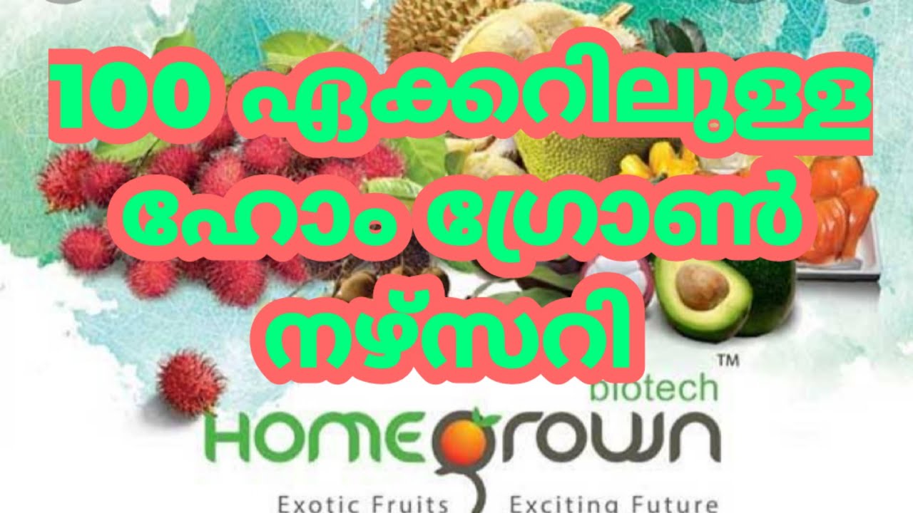 Homegrown നഴ്സറി Visit