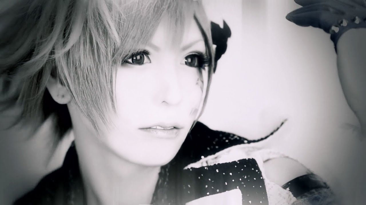 the Raid. 「Ray」 MV FULL