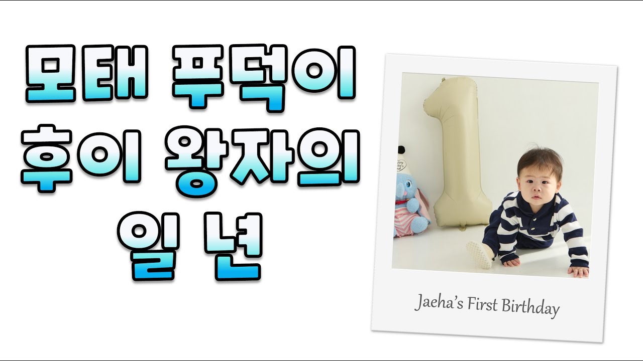 [4K] 후이 왕자의 일 년 #후이 #돌쟁이 #돌아기 #성장영상