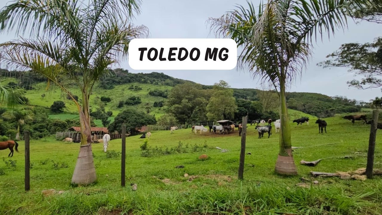 Toledo MG - Passeio da Rota 408 pelo Estado de Minas Gerais - 16° Temp - Ep 47
