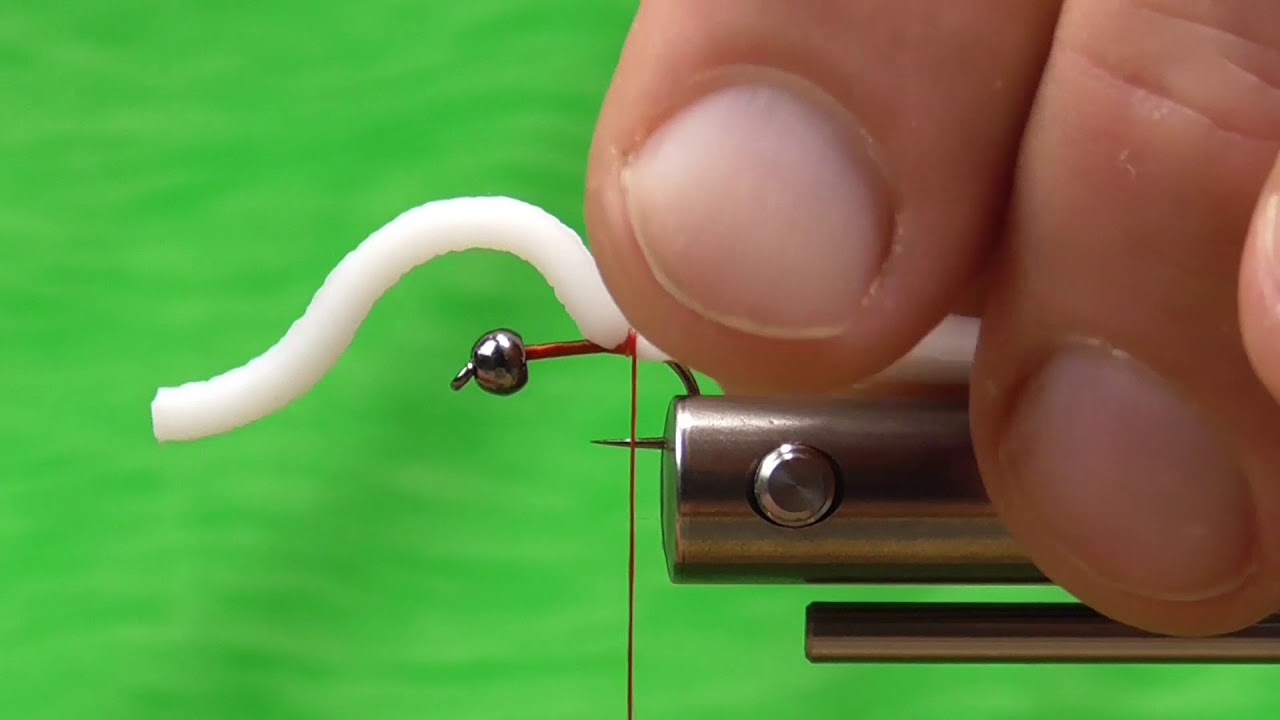 Squirmy Worm