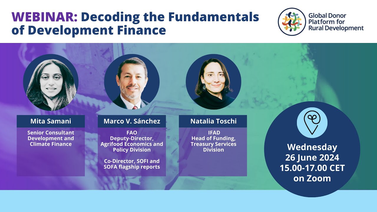 Decoding the Fundamentals of Development Finance