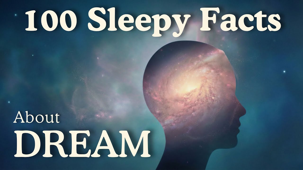 Why Do We FORGET Our Dreams? Soothing Mind Facts for Deep Sleep