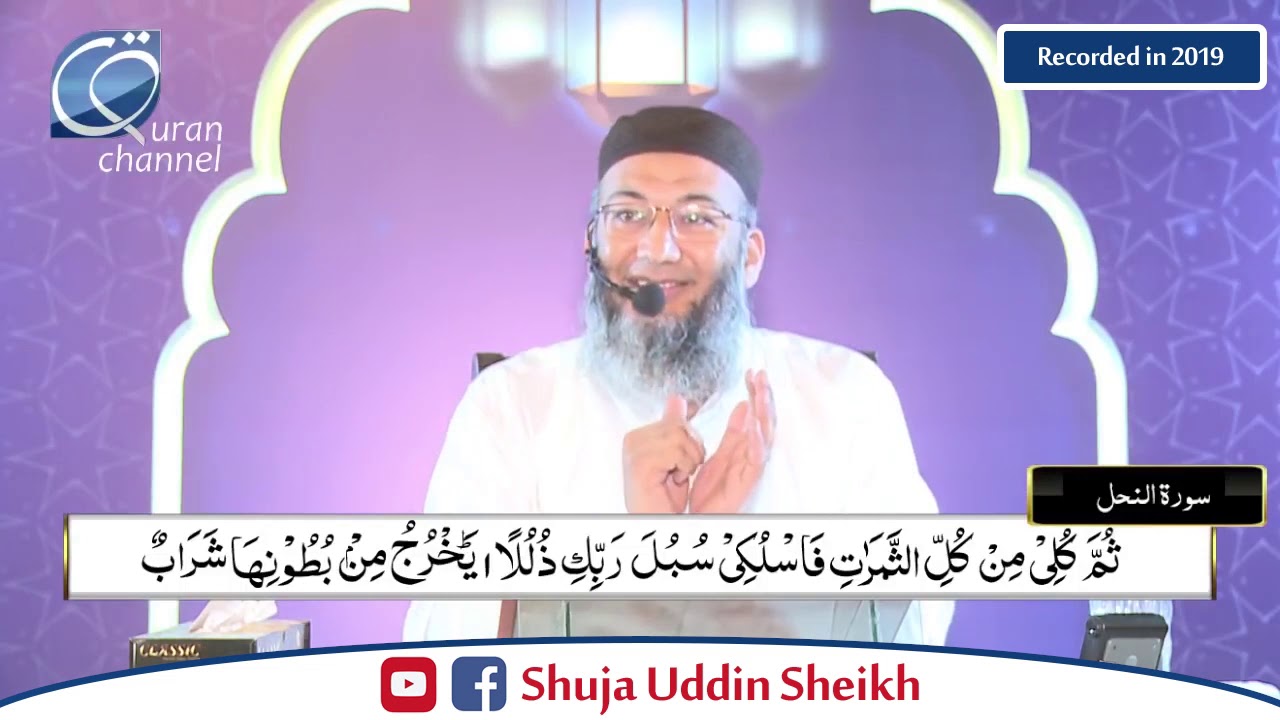 DTQ-Day 16 | Surah Nahal 61 to Bani Israil 93 | Shuja Uddin Sheikh