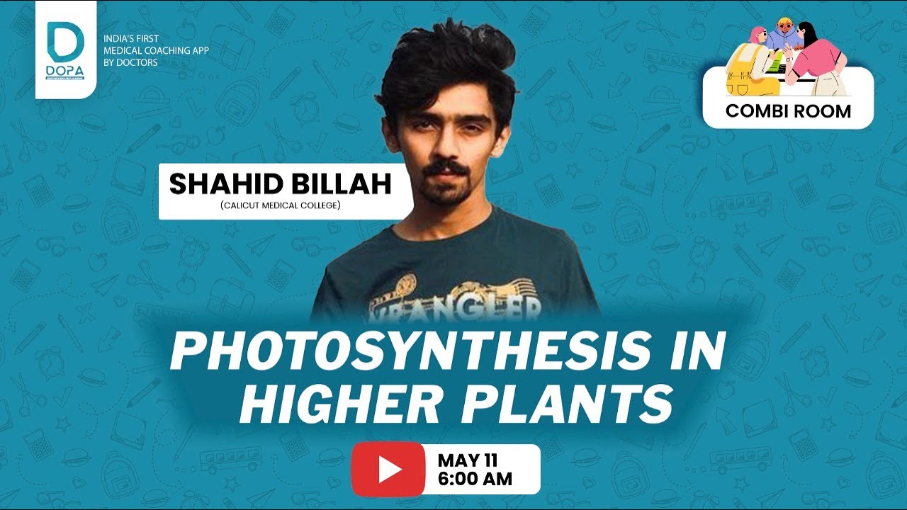 PHOTOSYNTHESIS IN HIGHER PLANTS || BILLAH || 6:00 AM