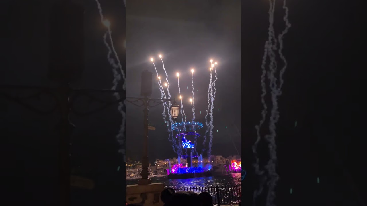 東京ディズニーリゾートの動画です