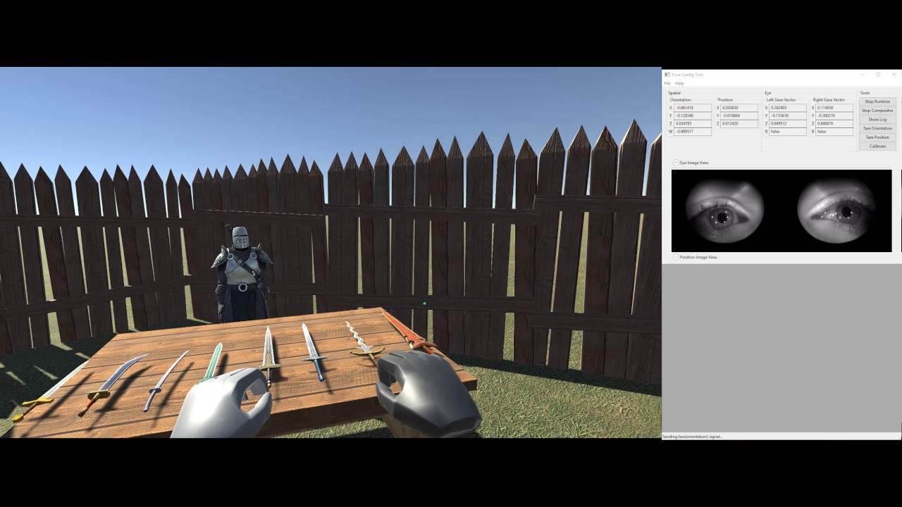 Virtual Reality FPRPG Demo Video with FOVE 0 and Leap Motion