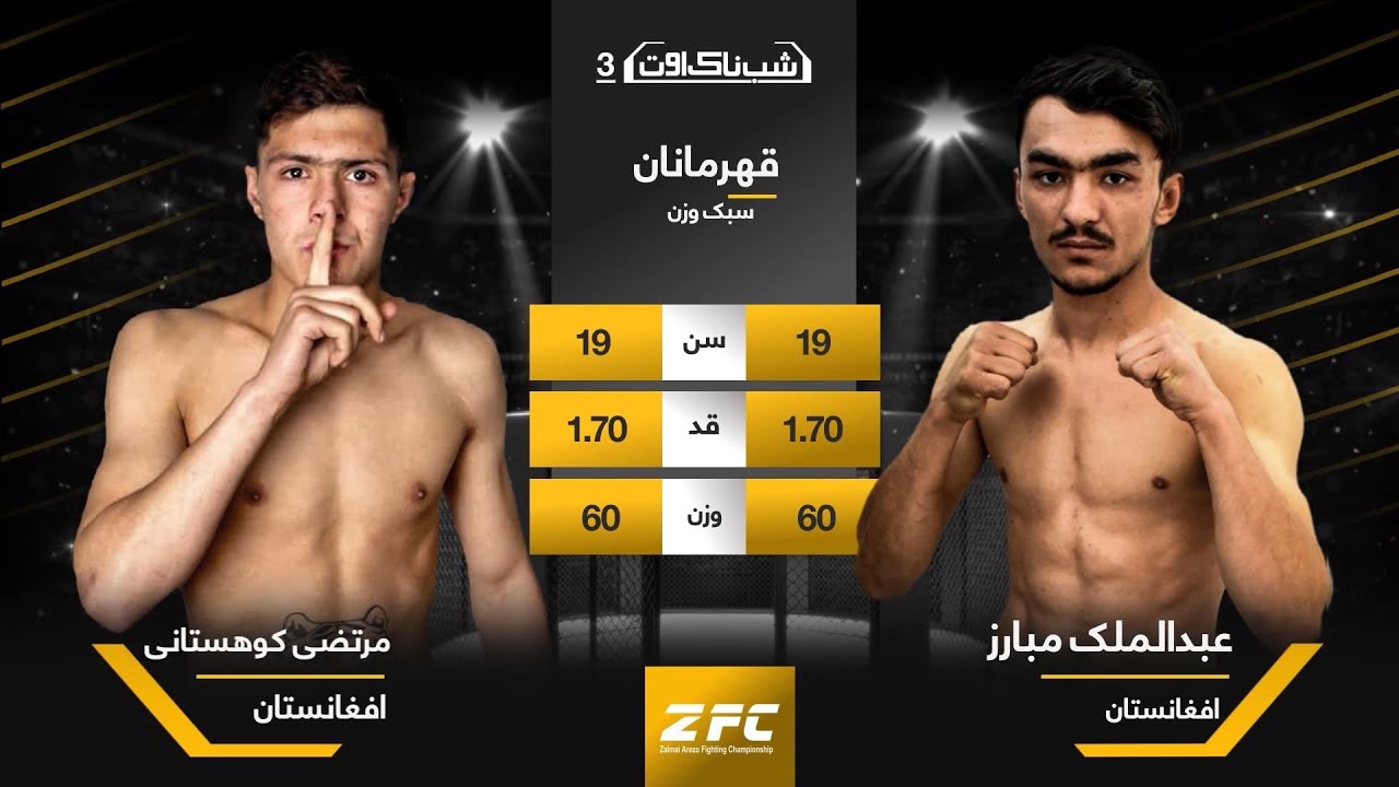 ZFC3 / Malek 