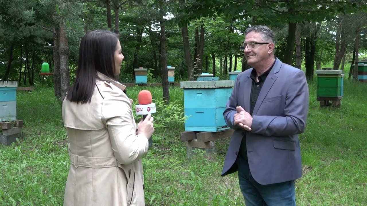 Bez pčela nema ni života: Tuzlanski pčelari o izazovima i važnosti meda