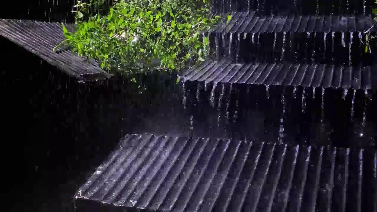 Pure Rain ASMR ⚡ Heavy Rain & Thunder at Night (No Talking)