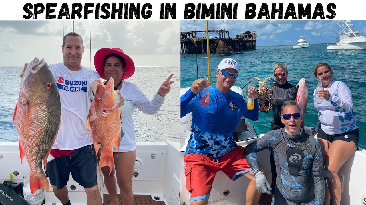 🐟🦀🐠spearfishing in bimini bahamas 🛥🐟🐠EP-128