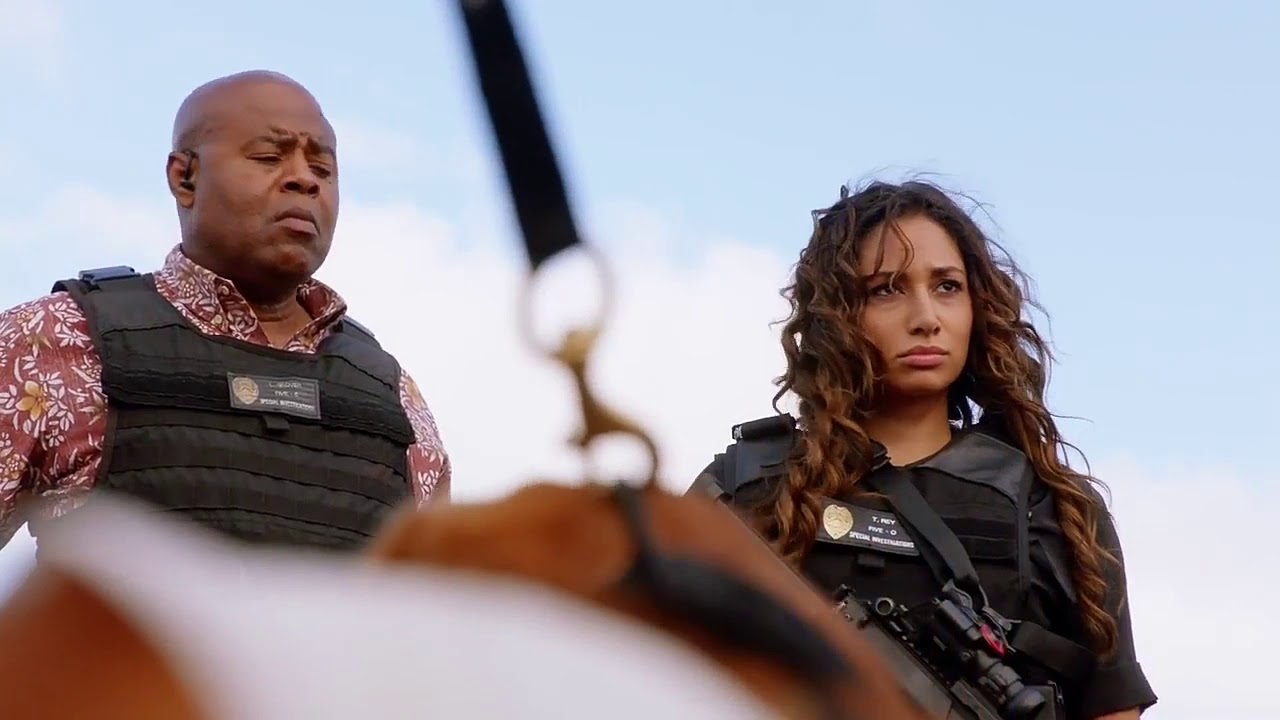 Hawaii five o season 8 episode 2 scene