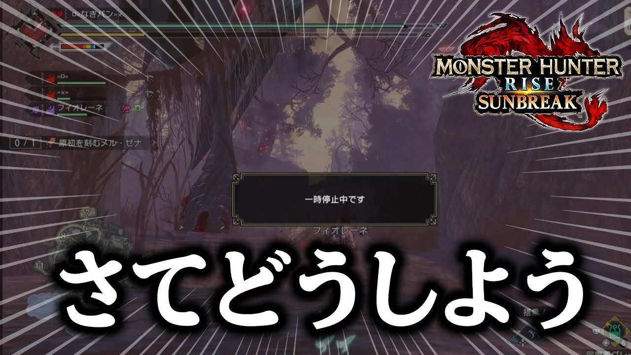 【サンブレイク】メルゼナさん待ってください