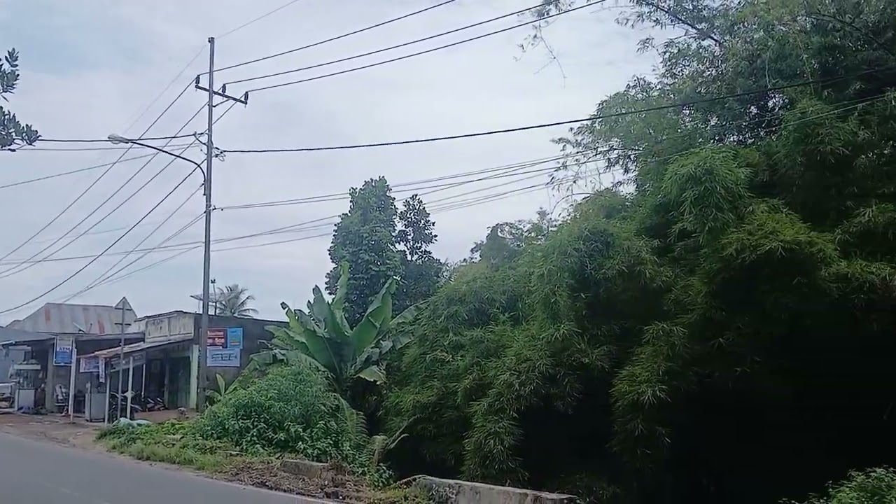 Apres la forte pluie/Setelah hujan deras...