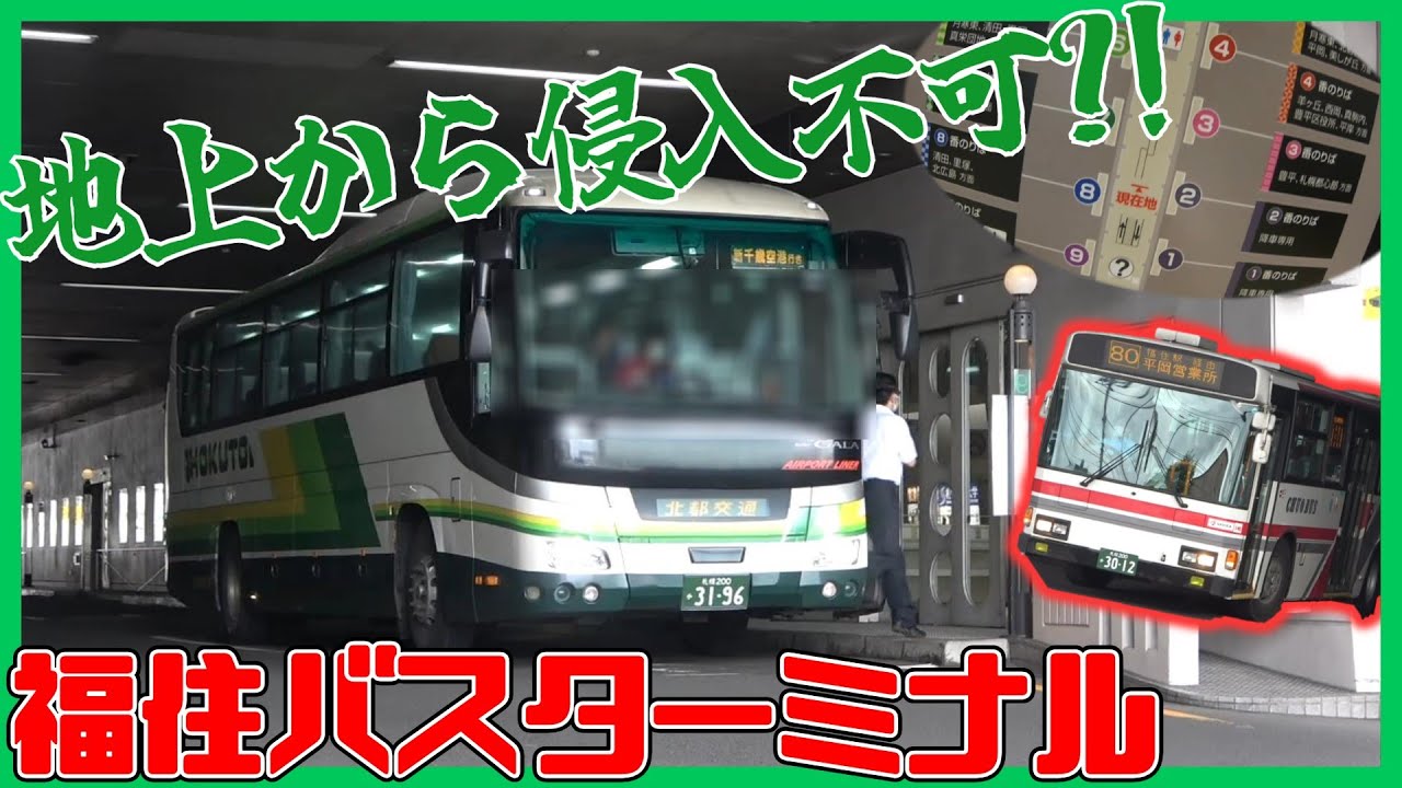 【侵入不可?!】ヨーカドー直結の福住バスターミナルを紹介！【交通施設紹介】