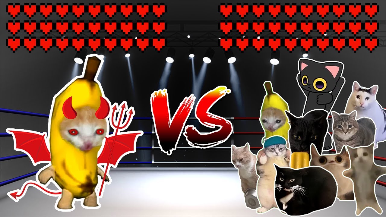 Evil Banana Cat vs 10 meme Cats! Meme battle