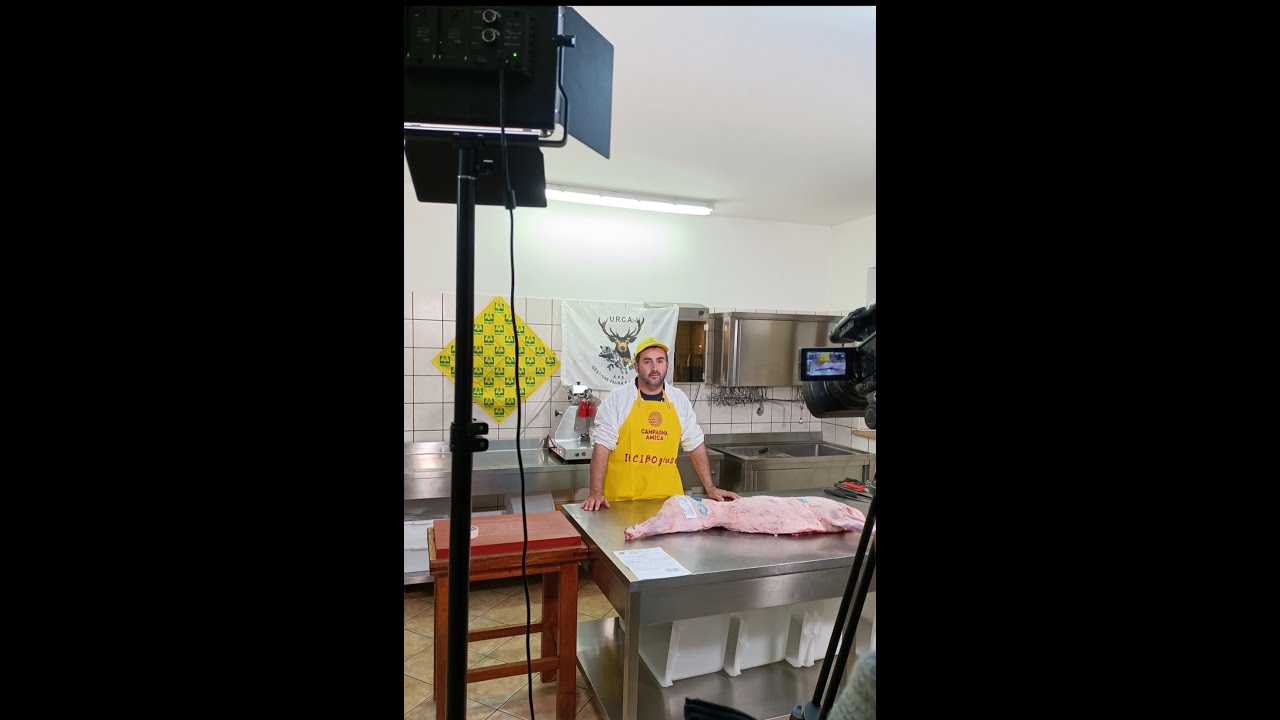 SEZIONAMENTO MEZZENA DI CINGHIALE