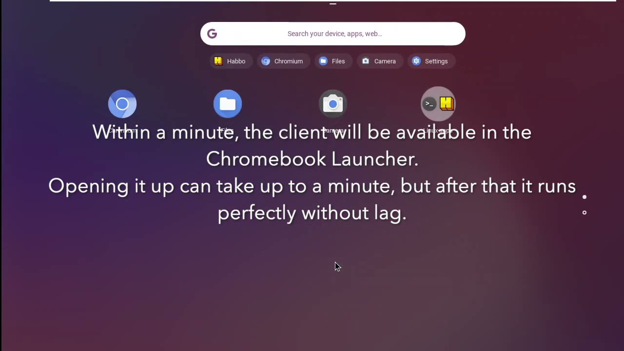 How to install Habbo Flash client on Chromebooks & Linux