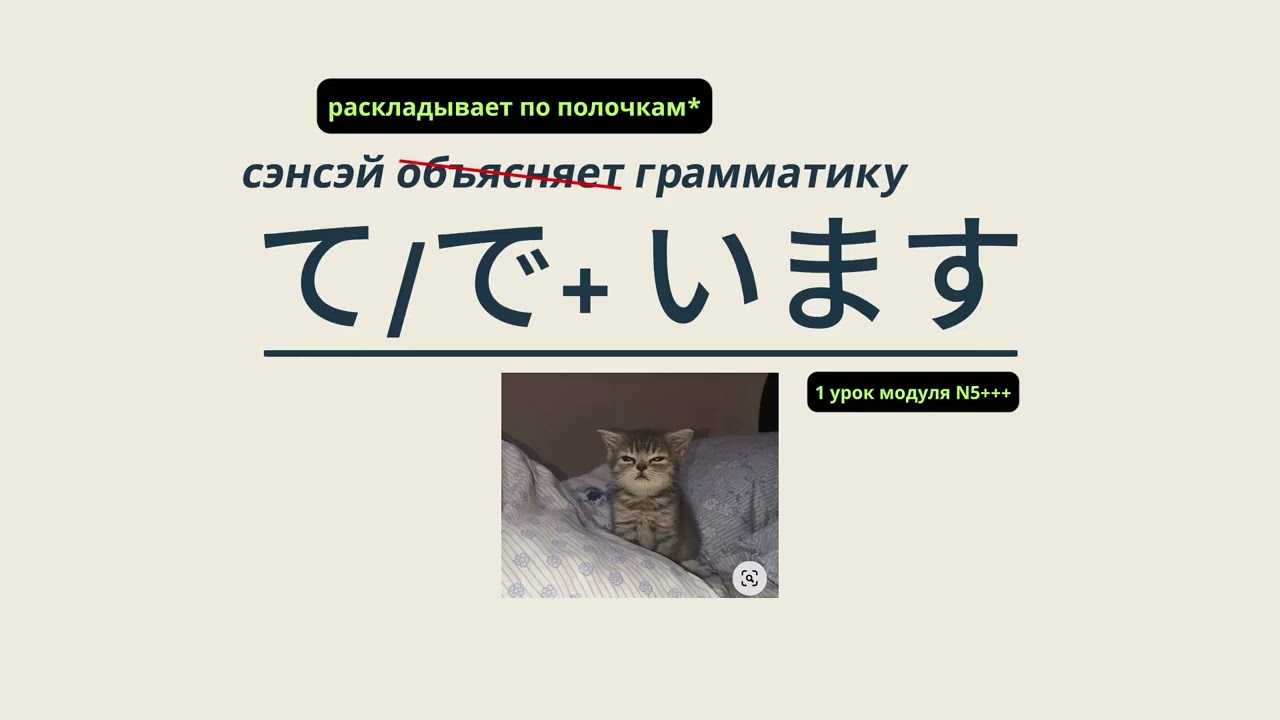Как проходят уроки на N5? Ждём всех начинающих на гостевой урок по японскому языку 🇯🇵
