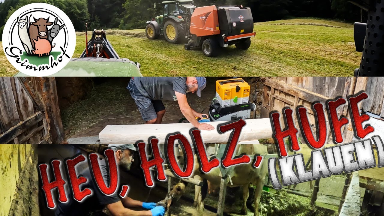FarmVLOG