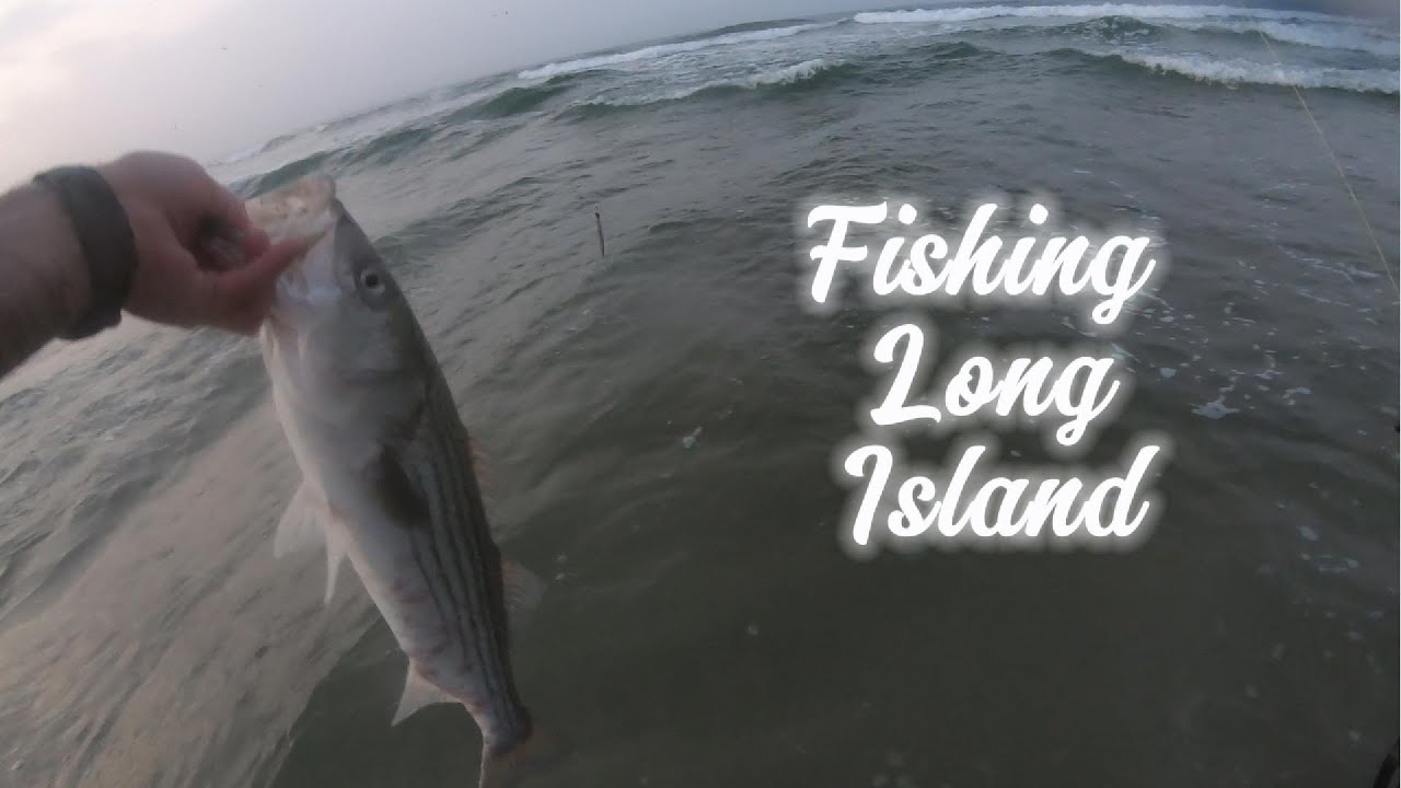 Surf Fishing Long Island North and South Shore For Anything That Bites.