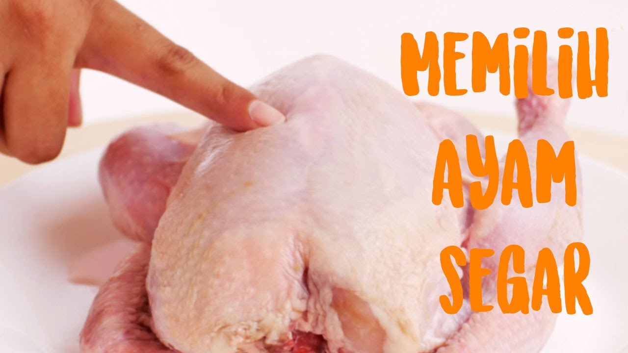 Tips Memilih Daging Ayam Yang Segar | Ciri-ciri Ayam Gak Layak Konsumsi