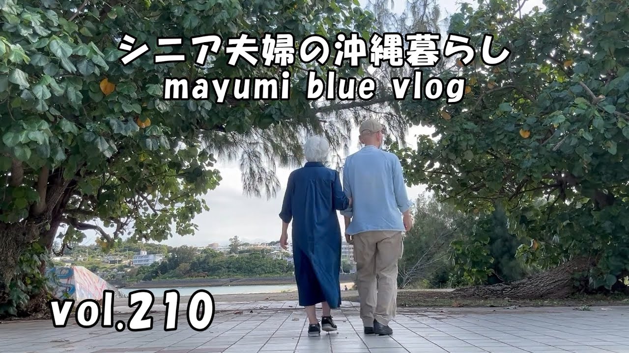 【沖縄暮らしvlog】主人の病院受診/夫婦で過ごす時間/シフォンケーキでフレンチトースト/沖縄の海/可愛い猫ちゃん/おやつタイム
