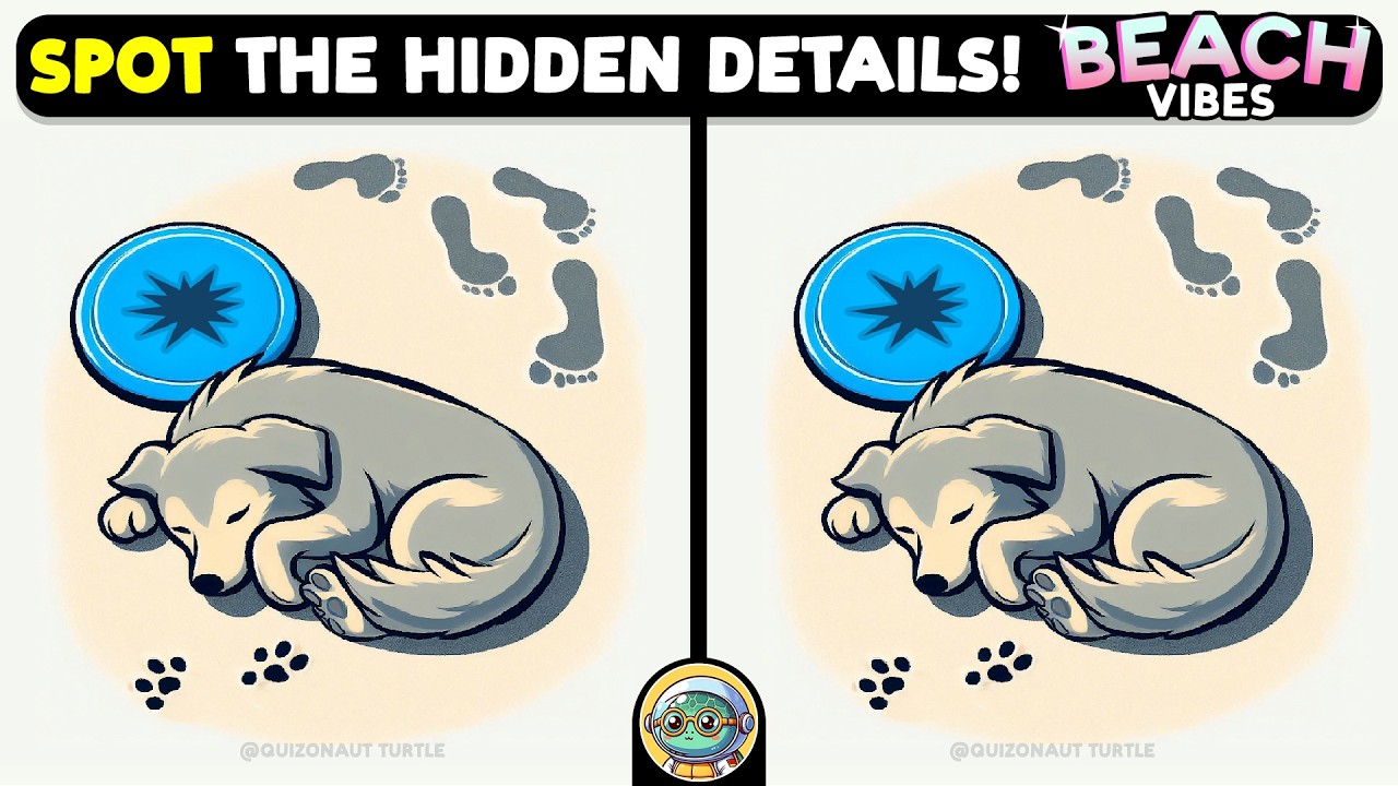 🐢🧩 Spot 3 Differences | Stay Mentally Young 🧩🐢 | Quizonaut Turtle