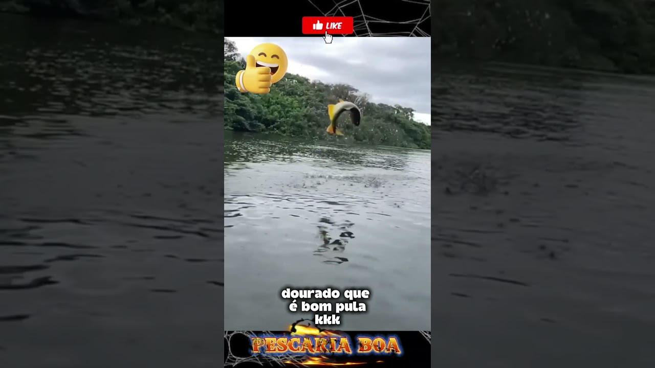 pescaria boa 