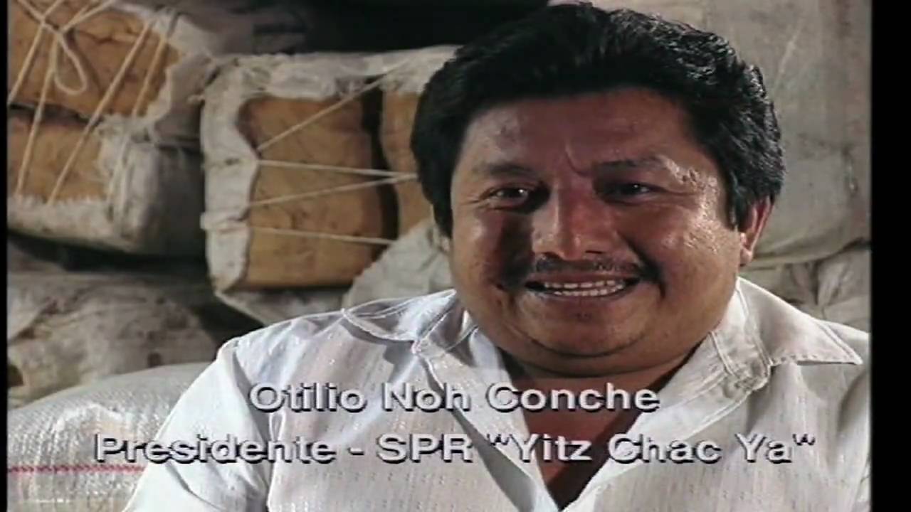 Chicza Chicle Organico2