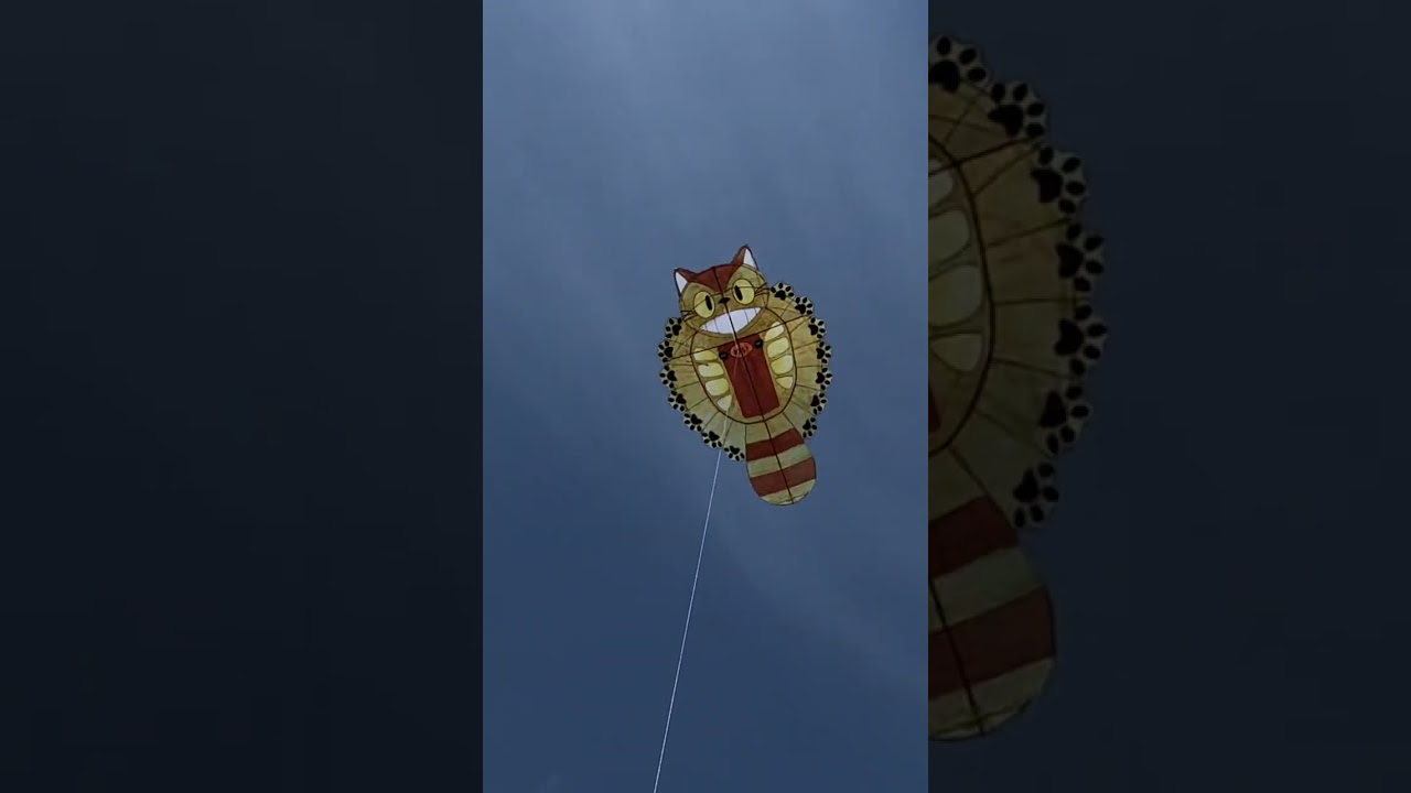 猫バスの凧
