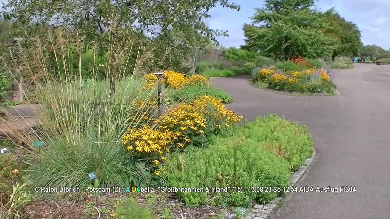 AIDAbella 2023 „GB&IRL“ (15): Fishguard Zum Botanischen Garten von Wales