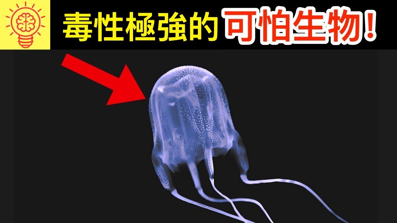 10個世界上【毒性極強的可怕生物】！