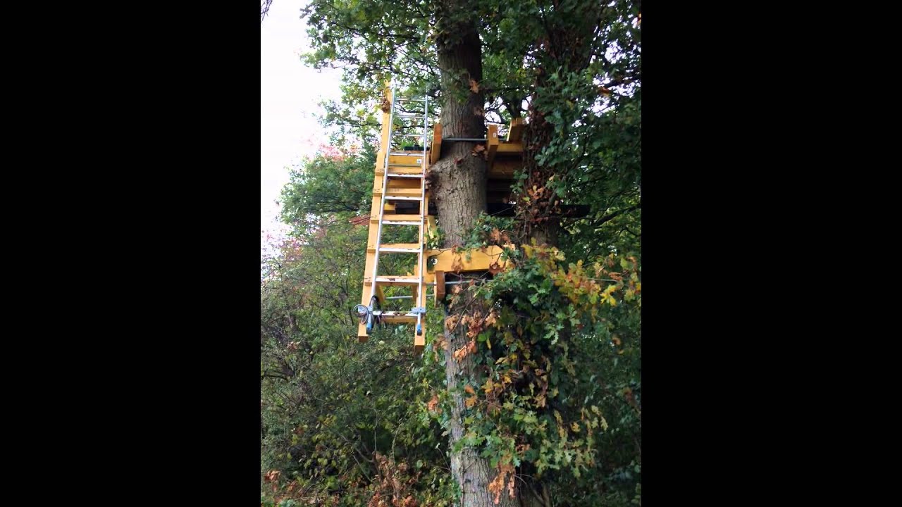 construction d un poste fixe a pigeon( cabane) dans un arbre ( epilogue )