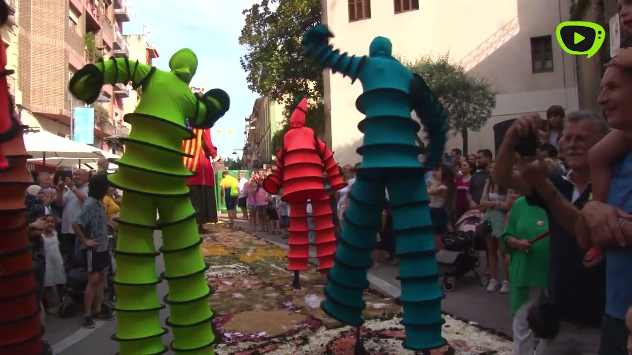 Arbúcies - Catifes de Flors 12-06-22