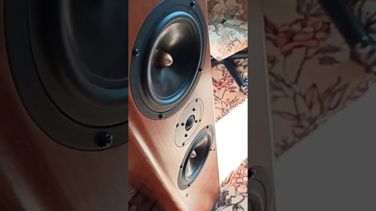 Asw Cantius V