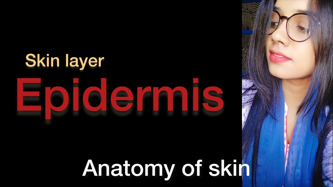 Epidermis // Layers of skin in Bengali // part-II video // Anatomy of skin #education #anatomy