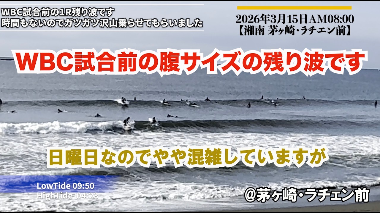 残り波腹サイズ2026年3月15日AM0800【湘南 茅ヶ崎・ラチエン前】#サーフィン #茅ヶ崎