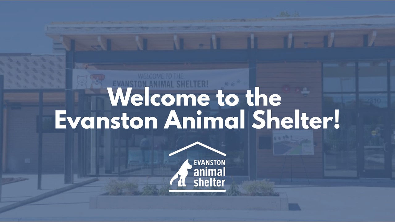 Welcome to the Evanston Animal Shelter! | Tours & Groups Intro
