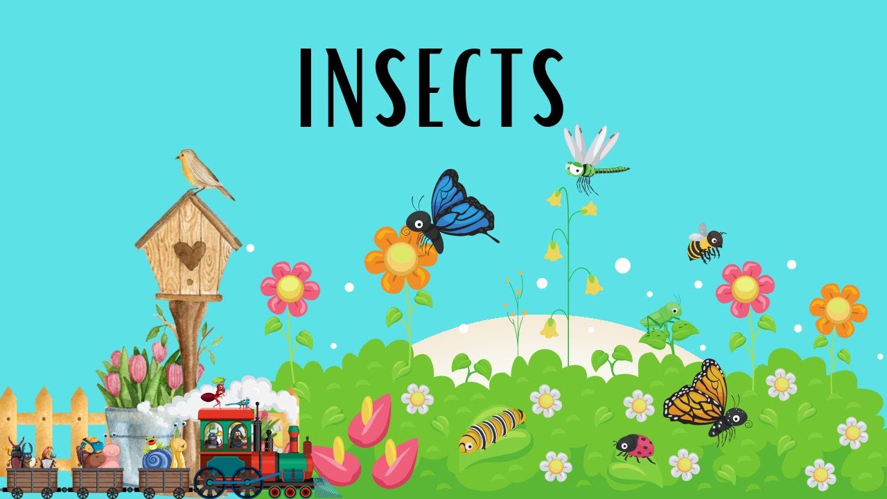 Insectopia 🦋 : Discover The Fascinating World Of Creepy Crawlies 🐞 - Perfect For Kids 🎥!