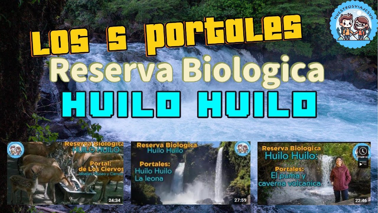 🌳✨ Recorrido Completo por Huilo Huilo: Todos los Portales Más Icónicos 🏞️🌋🦁 @huilohuilochile