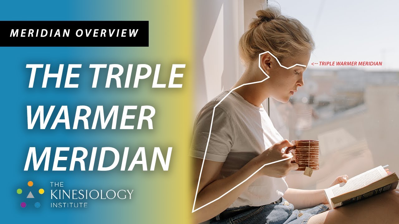 The Triple Warmer Meridian | Meridian Overviews