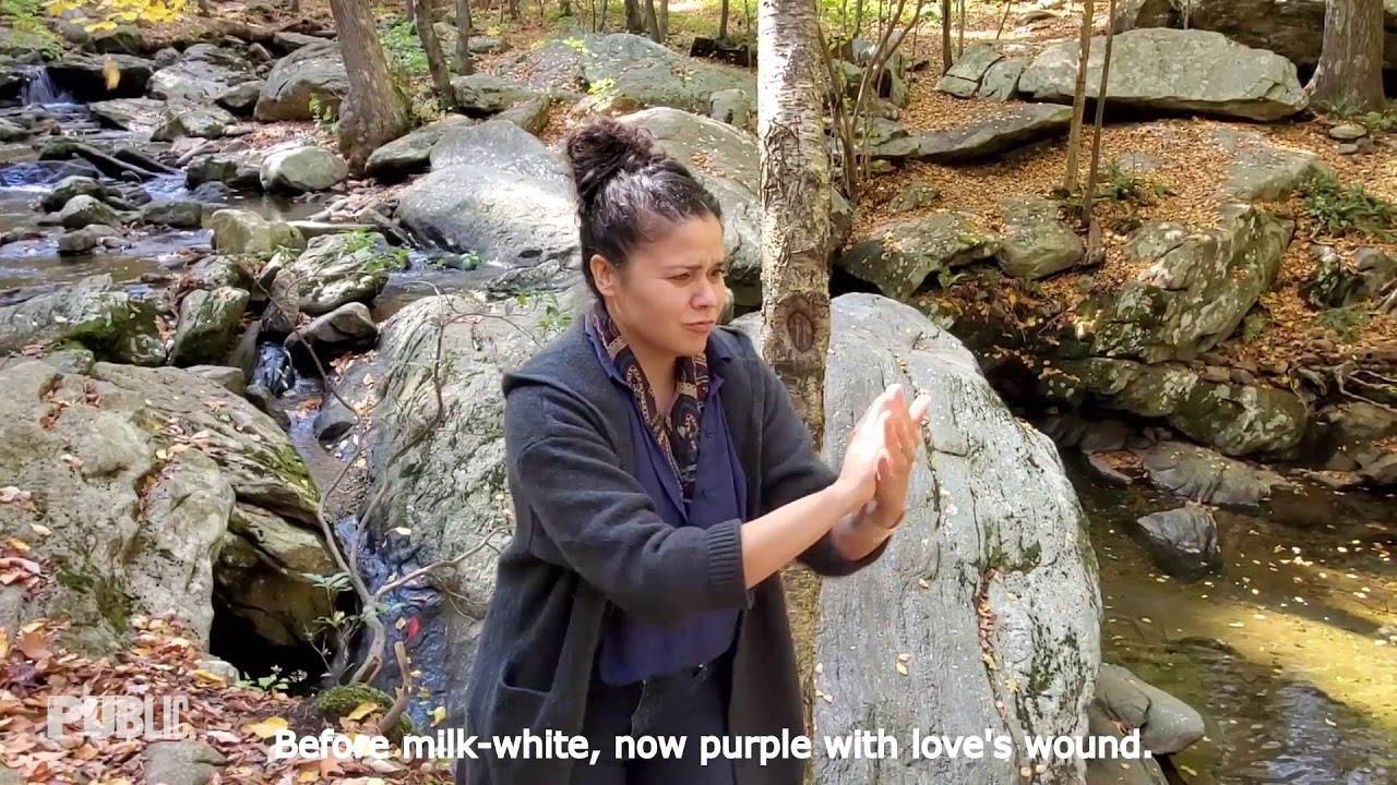 Brave New Shakespeare Challenge -- A MIDSUMMER NIGHT'S DREAM with Alexandria Wailes