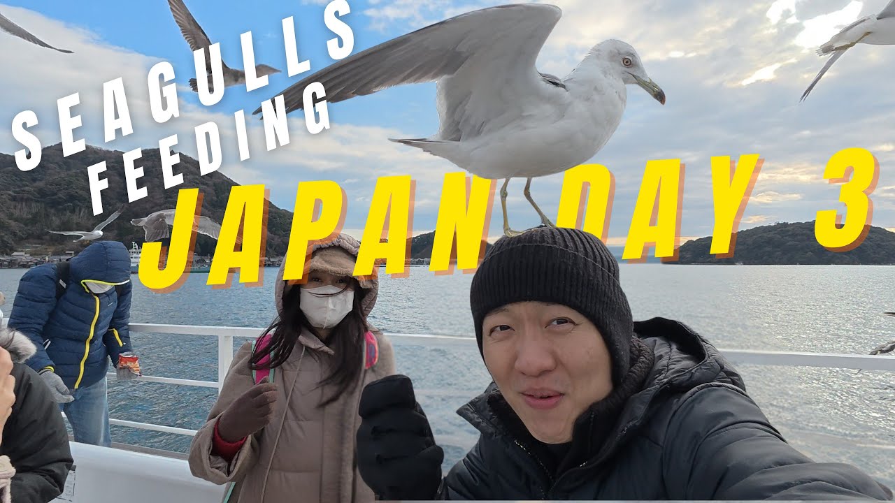 2025 Japan Amanohashidate Park, Hashidate Daimaru, Ine Bay Boat Tour Day 3 - Episode 311