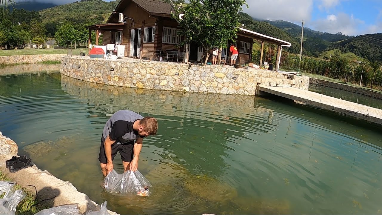 Levamos peixes a Santa Catarina e soltamos no lago