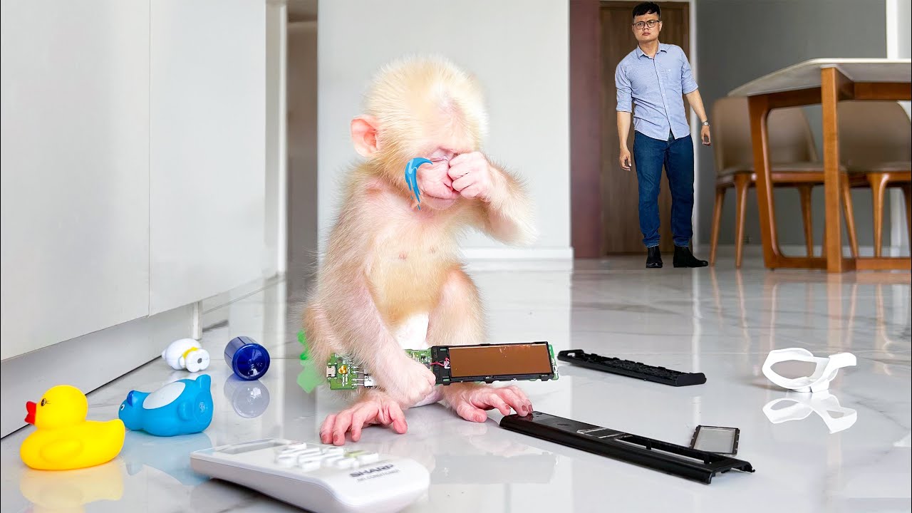 Dad's Brother loses his patience when Monkey Baby Molly destroys everything!