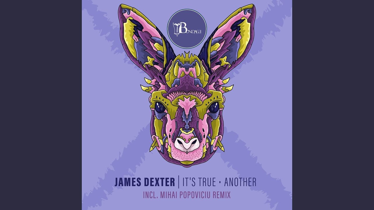 It's True (Mihai Popoviciu Remix)