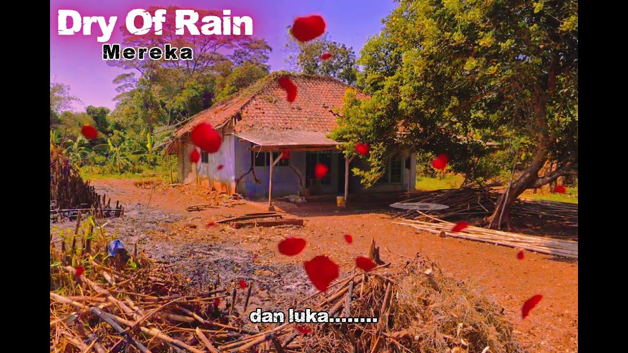 Dry Of Rain